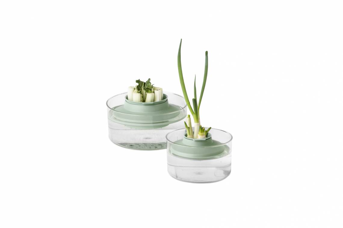 Brabantia Kräuter-und-Gemüse-Anzucht-Set / Jade Green - 8710755124402