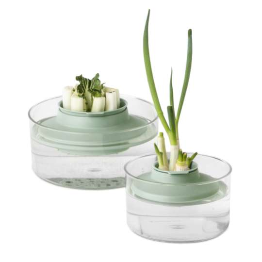 Brabantia Kräuter-und-Gemüse-Anzucht-Set / Jade Green - 8710755124402