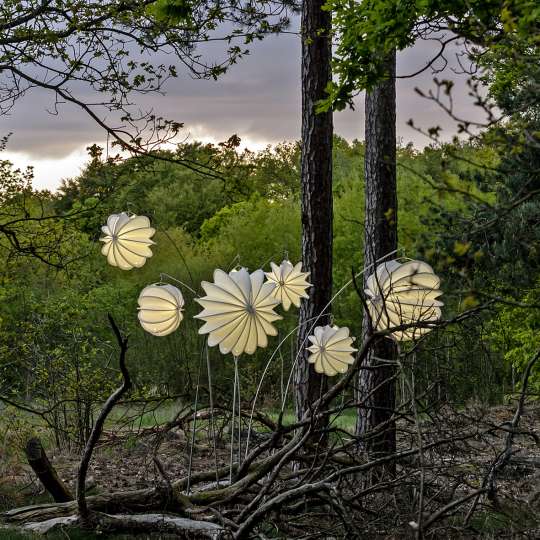 Barlooon - robuste Outdoor-Lampions, Mood Wald 1