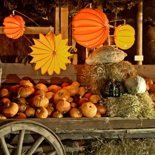 Barlooon: der wetterfeste Lampion, orange, dekoriert mit Kürbissen / Mood 3