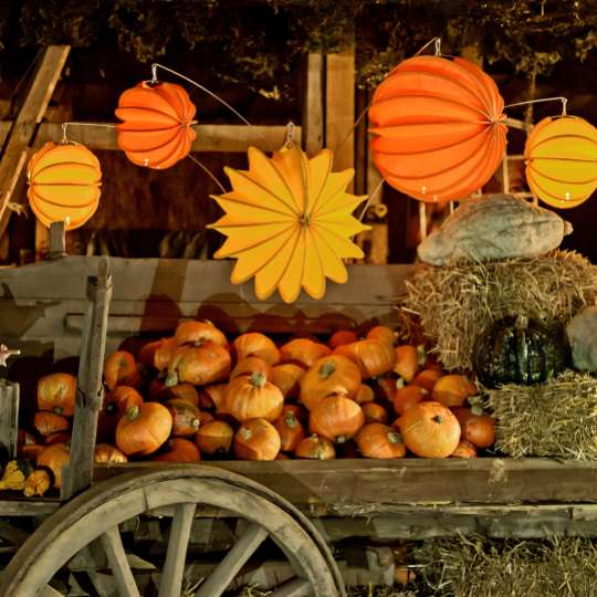 Barlooon: der wetterfeste Lampion, orange, dekoriert mit Kürbissen / Mood 4